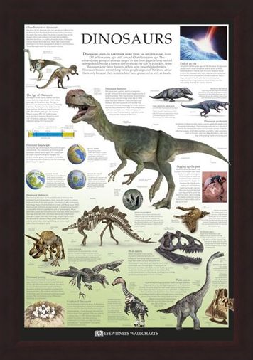 Framed Framed Dinosaurs - Dorling Kindersley