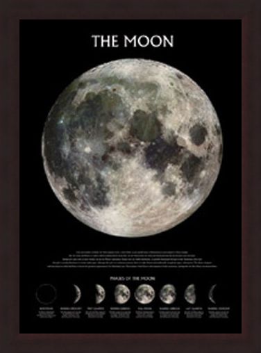 Framed Framed Phases of the Moon - The Moon
