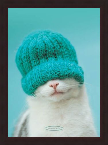 Framed Framed Guiness the Cat and Hat - Rachael Hale