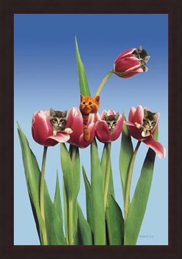 Framed Framed Kittens in Tulips - Cute Little Kittens