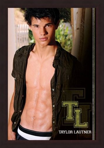 Framed Framed Relaxing in the Sun - Taylor Lautner