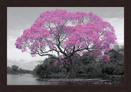 Framed Framed Tree In Bloom - Natural Pink