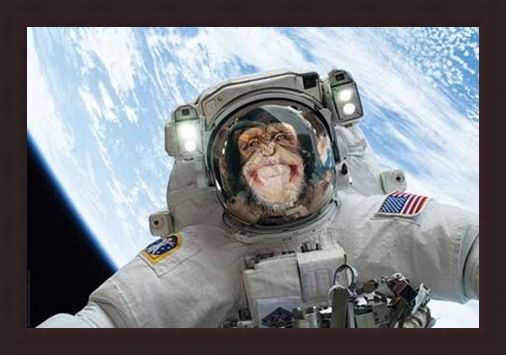 Framed Framed Out Of This World - Cheeky Chimp