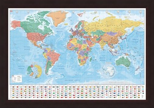 Framed Framed Flags And Facts - World Map