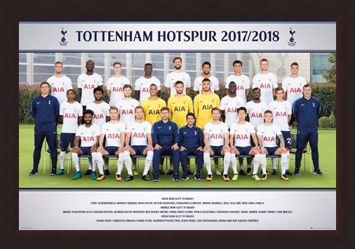 Framed Framed Photo 17-18 - Tottenham Team
