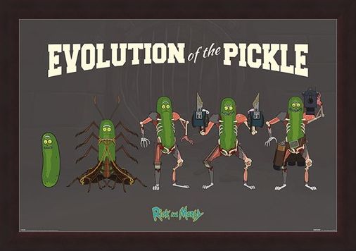 Framed Framed Evolution Of The Pickle - Rick and Morty