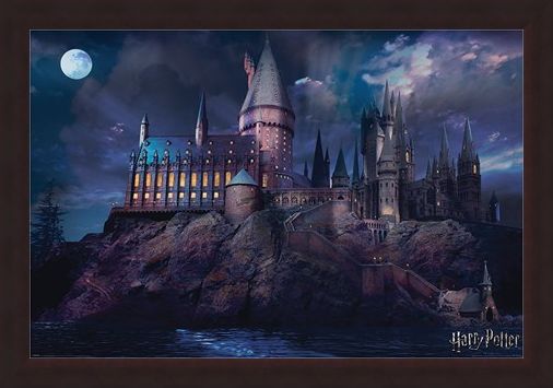Framed Framed Hogwarts - Harry Potter