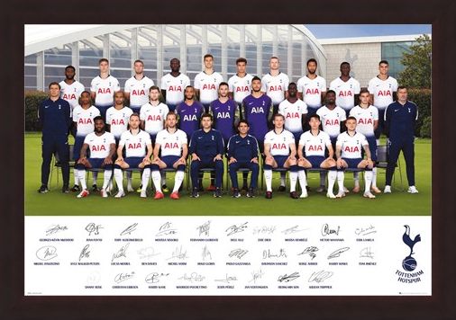 Framed Framed Team Poster 18-19 - Tottenham Hotspur