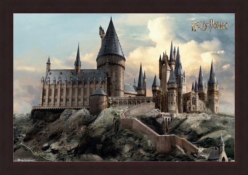 Framed Framed Hogwarts Day - Harry Potter