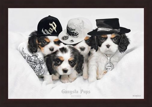 Framed Framed Gangsta Pups - Keith Kimberlin