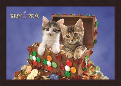 Framed Framed Kitten Treasure - My Best Pets