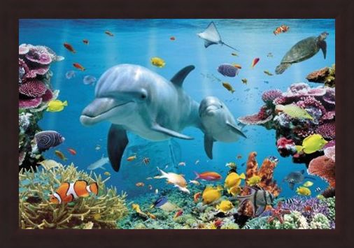 Framed Framed Underwater Dolphin Fantasy - Tropical Dolphins