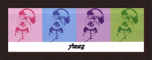 Framed Framed DJ Doggie Quad - Steez