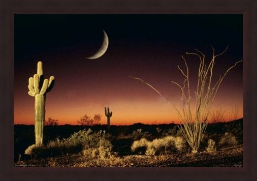 Framed Framed Desert Silhouette - Arizona Landscape