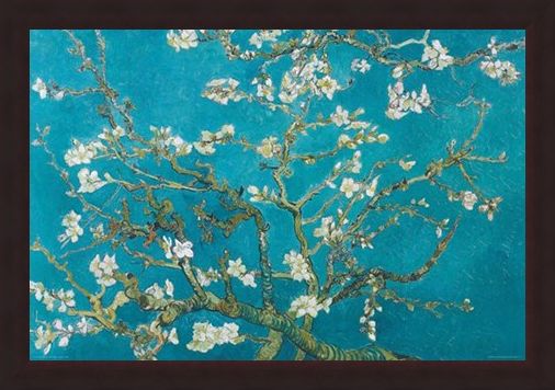 Framed Framed Almond Blossom (1890) - Vincent Van Gogh
