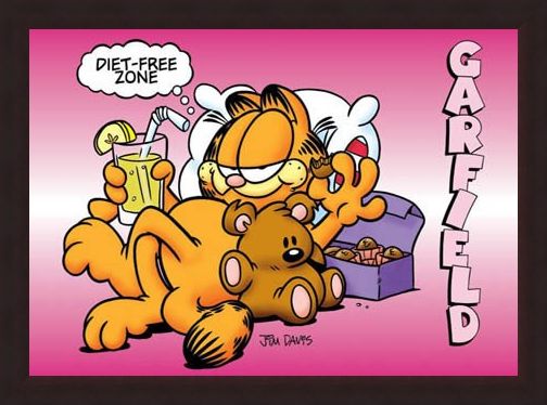 Framed Framed Diet Free Zone - Garfield