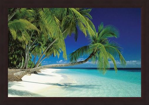 Framed Framed Maldives Beach and Sea - Palm Trees on a Tropical Island Paradise