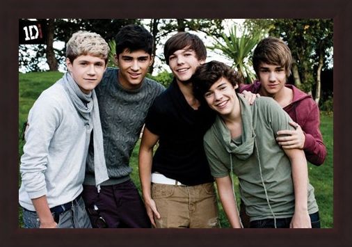 Framed Framed Beautiful Boys in the Garden - One Direction