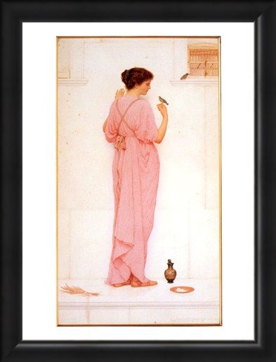 Framed Framed Song Birds - George Lawrence Bulleid