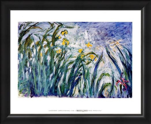 Framed Framed Campo Di Fiori Gialli - Claude Monet