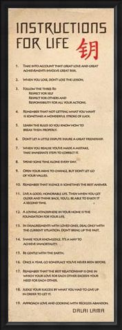 Framed Framed Instructions for Life - According to the Dalai Lama
