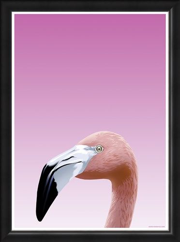 Framed Framed Flamboyant Flamingo - Inquisitive Creatures