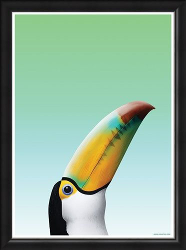 Framed Framed Toucan - Inquisitive Creatures