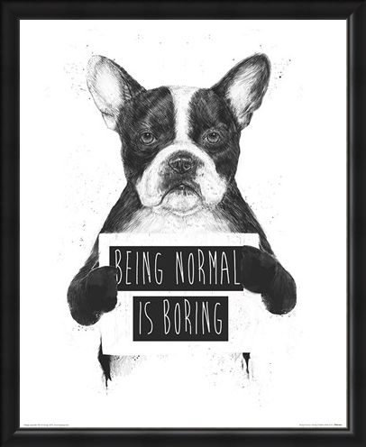 Framed Framed Being Normal Is Boring - Balazs Solti