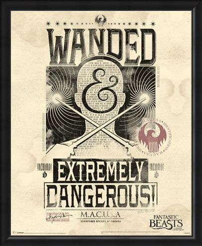 Framed Framed Extremely Dangerous - Fantastic Beasts