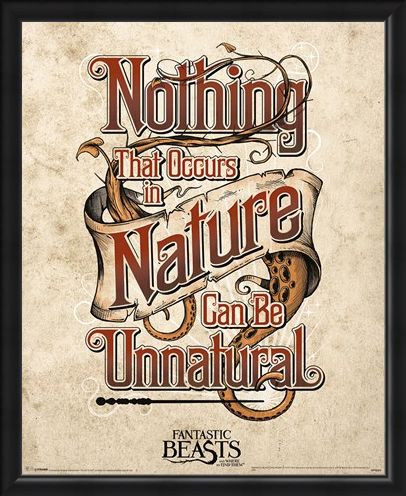 Framed Framed Nothing That Occurs In Nature... - Fantastic Beasts & Where To Find Them