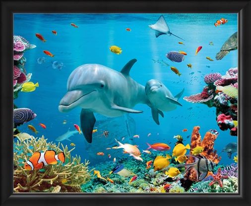 Framed Framed Tropical Ocean - Sea Creatures