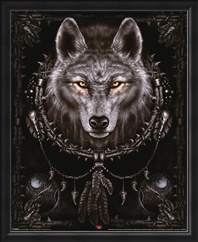 Framed Framed Wolf Dreams - Spiral