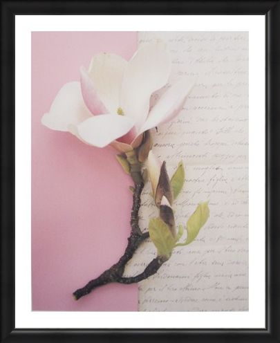Framed Framed Emma's Garden Magnolia - Deborah Schenck