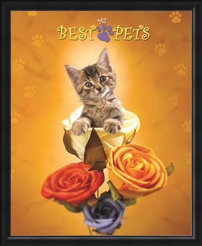 Framed Framed Cat amongst the Roses - My Best Pets