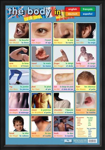Framed Framed Body Parts - Language Guide