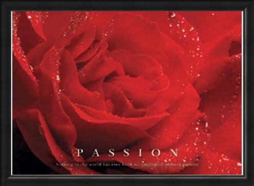 Framed Framed Rose Bloom - Passion, Inspirational