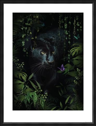 Framed Framed Panther - Summer Thornton
