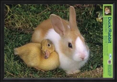 Framed Framed Best Friends - Duck And Rabbit
