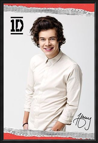 Framed Framed Harry - One Direction