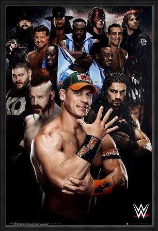 Framed Framed Superstars 2016 - WWE