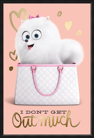Framed Framed I Don't Get Out Much - The Secret Life Of Pets