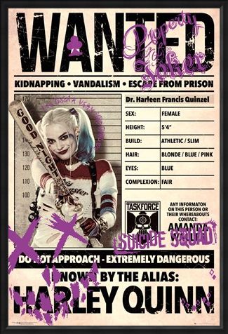 Framed Framed Harley Wanted - Suicide Squad