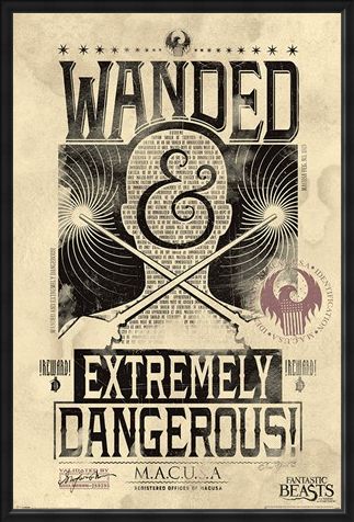 Framed Framed Extremely Dangerous - Fantastic Beasts