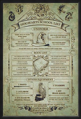 Framed Framed Hogwarts First Year Essentials - Harry Potter