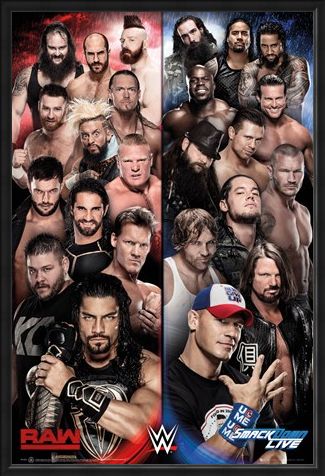 Framed Framed Raw vs Smackdown - WWE