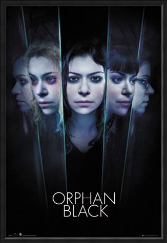 Framed Framed Faces - Orphan Black
