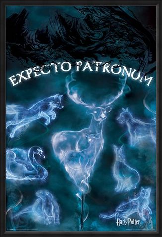 Framed Framed Expecto Patronum - Harry Potter