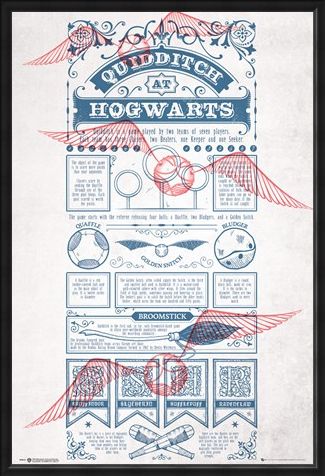 Framed Framed Rough Game, Quidditch - Harry Potter