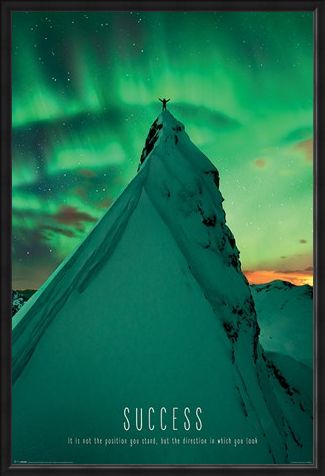 Framed Framed The Right Direction - Success