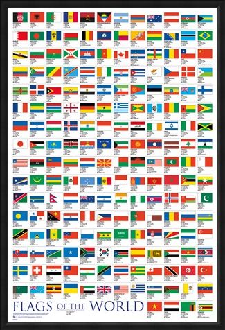 Framed Framed Flags Of The World - Educational
